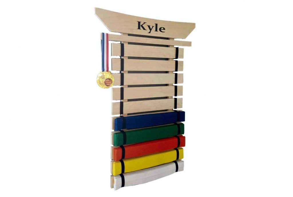 TheBest10LevelKarateBeltDisplay Origin Fighter