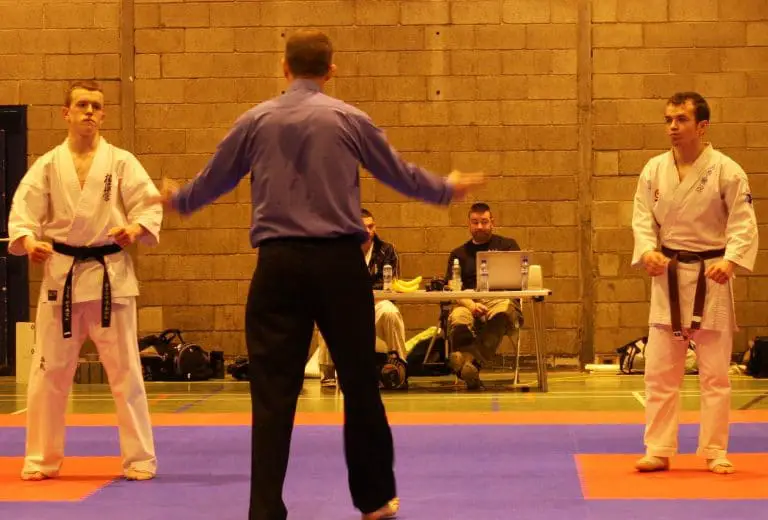 karatechopstutorial Origin Fighter