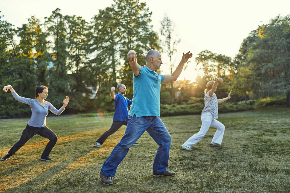 using-mind-in-tai-chi - Origin Fighter