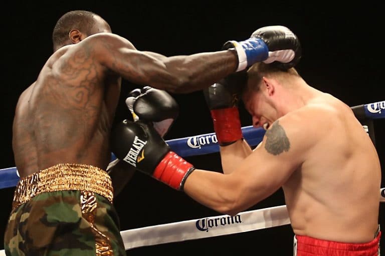 rabbitpunchboxing Origin Fighter