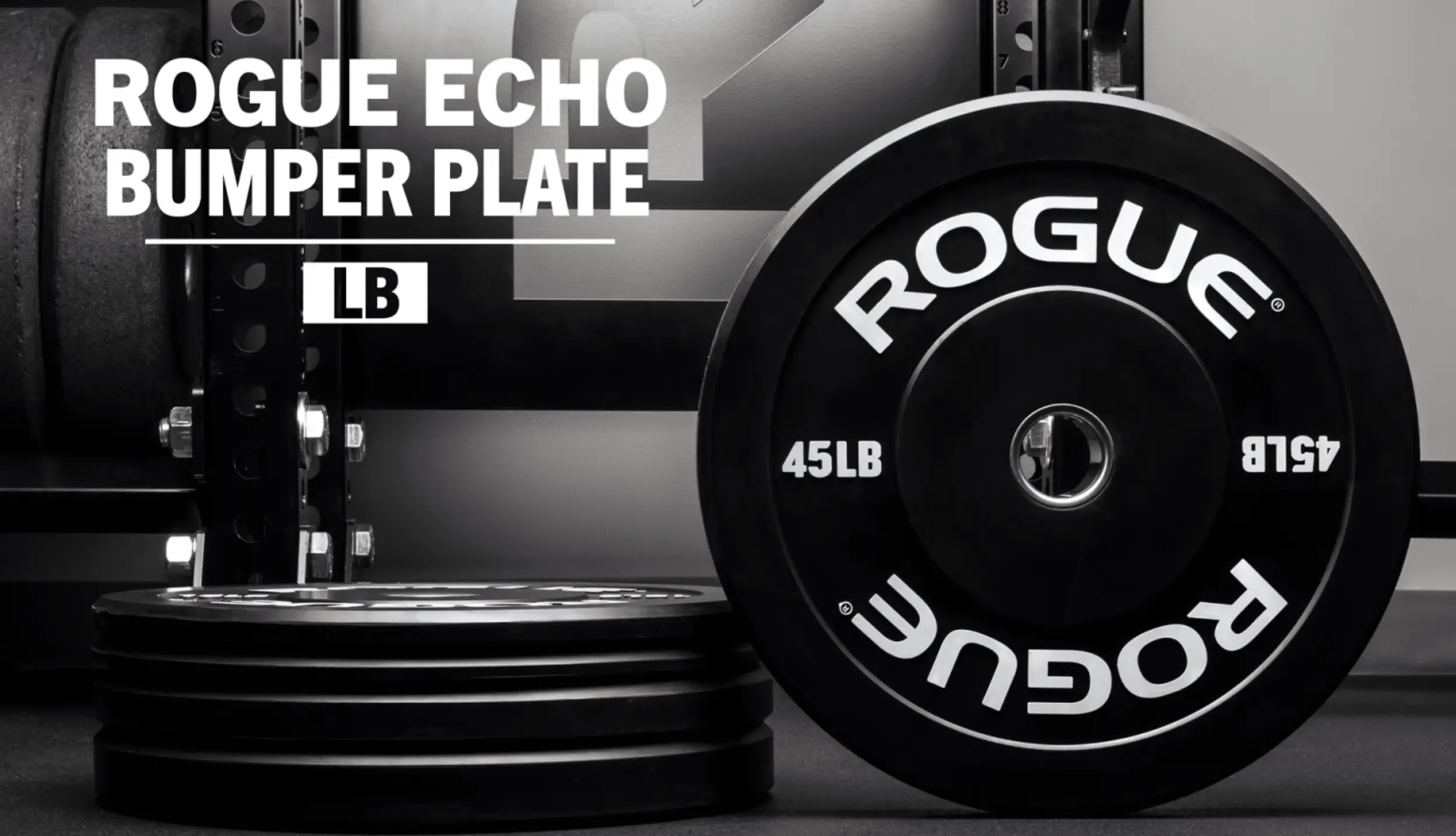 Rogue Echo Bumper Plates  | Rogue USA