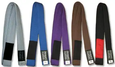 Ring to Cage Brazilian Jiu Jitsu Belt with Patch. BJJ Rank Belts, Available